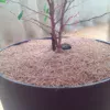 Приствольный круг из кокосового волокна диаметр 22 см для мульчирования почвы EuroCocos